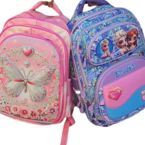 Trolley school bag